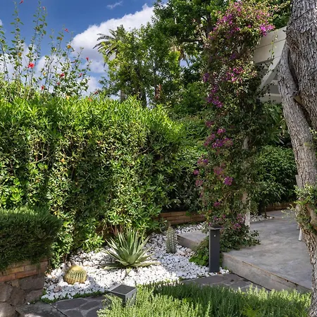 Il Canto Delle Sirene - Sofia *