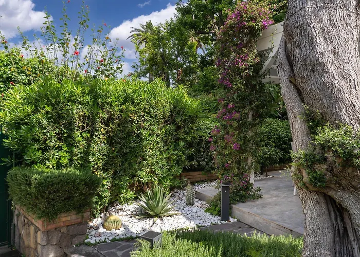 Il Canto Delle Sirene - Sofia *